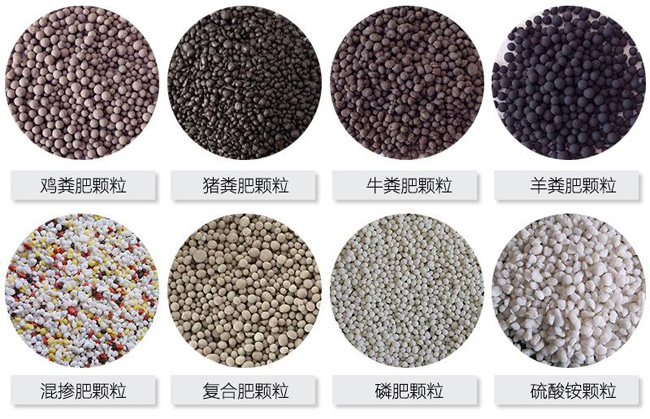 養豬場(chǎng)糞便怎么處理?小型豬糞有機肥生產(chǎn)線(xiàn)生產(chǎn)過(guò)程(圖2) 有機肥顆粒成品顆粒