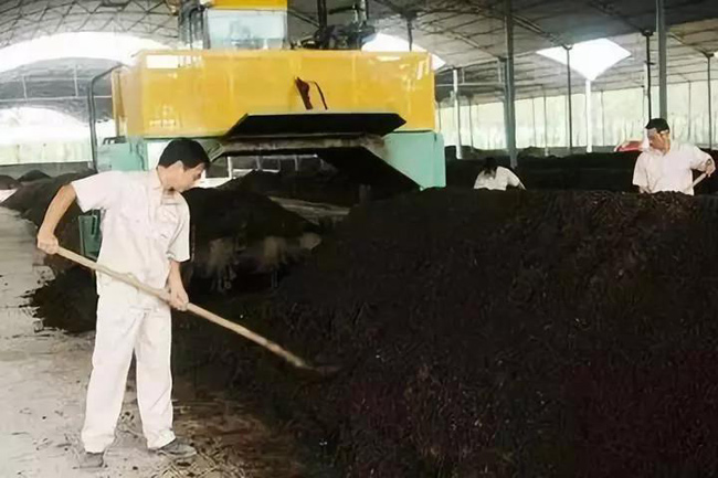 禽糞有機肥生產(chǎn)國家補貼對象、申報條件、流程、考核(圖1) 有機肥翻拋現場(chǎng)