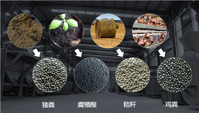 雞糞有機肥生產(chǎn)線(xiàn)生產(chǎn)工藝全面解析(圖2) 雞糞有機肥成品顆粒