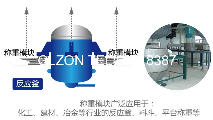 液體灌裝機,稱(chēng)重灌裝機,定量灌裝機 液體灌裝機,稱(chēng)重灌裝機,定量灌裝機