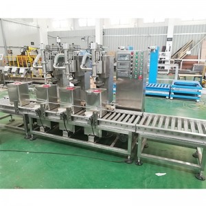 純丙乳液灌裝機 自動(dòng)稱(chēng)重灌裝機 生產(chǎn)多功能灌裝機 藥品灌裝機